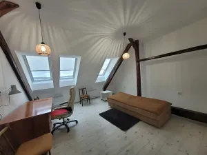 Pronájem bytu 1+1, Brno, Palackého třída, 43 m2