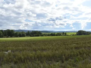 Prodej pozemku pro bydlení, Benešov, 1348 m2