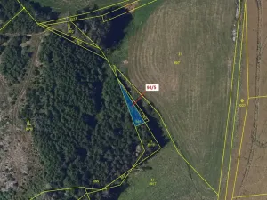 Dražba lesa, Žižkovo Pole, 119 m2