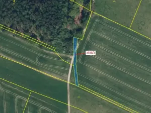 Dražba pole, Olešnice, 318 m2