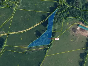 Dražba lesa, Bystrá nad Jizerou, 2802 m2