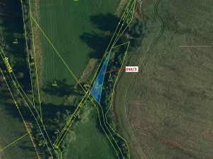 Dražba lesa, Horní Újezd, 264 m2