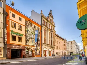 Prodej bytu 2+kk, České Budějovice, Karla IV., 51 m2