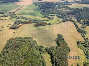 Prodej lesa, Zvěstov, 45954 m2