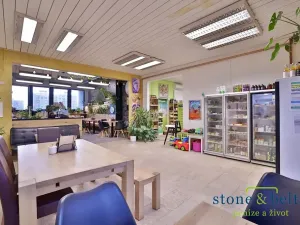 Prodej obchodního prostoru, Praha - Troja, Lodžská, 254 m2