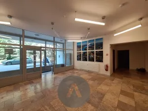 Pronájem bytu 2+kk, Brno, Rakovecká, 47 m2
