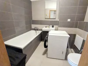Pronájem bytu 1+kk, Praha - Žižkov, Baranova, 40 m2
