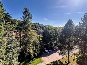 Pronájem bytu 1+1, Boskovice, Mánesova, 37 m2