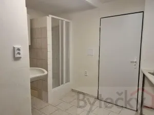 Pronájem bytu 1+1, Praha - Strašnice, Srbínská, 24 m2
