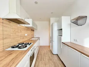 Pronájem bytu 3+1, Brno, Strnadova, 60 m2