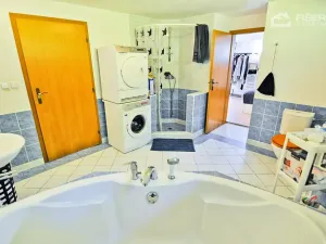 Pronájem bytu 2+kk, Lešná, 120 m2