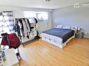 Pronájem bytu 2+kk, Lešná, 120 m2