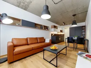Pronájem bytu 2+kk, Brno, Cejl, 48 m2