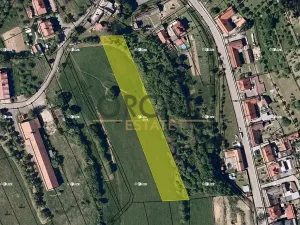 Prodej louky, Košíky, 3748 m2