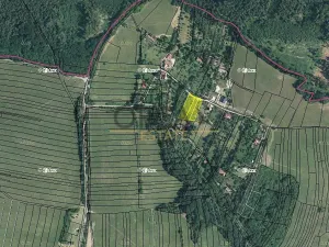 Prodej louky, Medlovice, 2466 m2