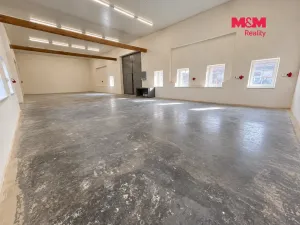 Pronájem výrobních prostor, Drásov, Všechovická, 285 m2
