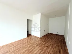 Prodej bytu 2+kk, Libčice nad Vltavou, Pod Saharou, 45 m2