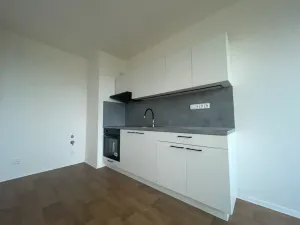 Pronájem bytu 1+kk, Ústí nad Labem, Sociální péče, 24 m2