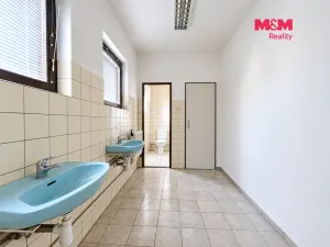 Pronájem výrobních prostor, Neratovice, Mánesova, 235 m2
