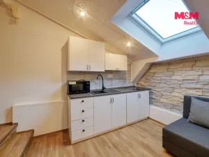 Pronájem bytu 1+1, Mariánské Lázně, Třebízského, 29 m2