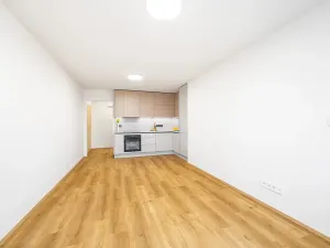 Prodej bytu 2+kk, Praha - Chodov, Petýrkova, 55 m2
