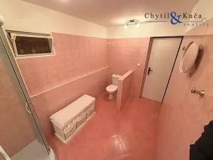 Prodej chalupy, Líšná, 90 m2