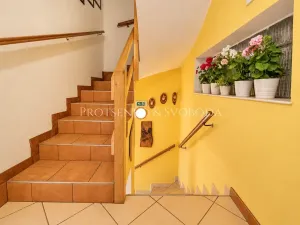 Prodej ubytování, Strachotín, Sklepní, 285 m2