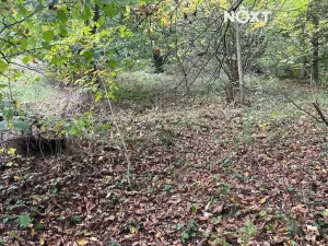 Prodej činžovního domu, Benešov nad Ploučnicí, Českolipská, 240 m2