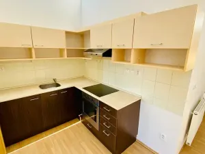 Pronájem bytu 2+kk, Brno, Ptašínského, 53 m2