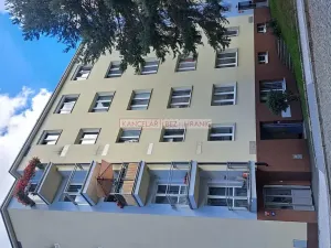 Pronájem bytu 1+kk, Praha - Nusle, Boleslavova, 35 m2