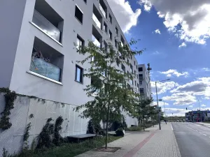 Pronájem bytu 2+kk, Praha - Hloubětín, Poděbradská, 53 m2
