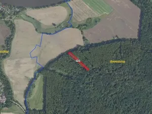 Prodej lesa, Přerov nad Labem, 2852 m2