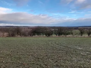 Prodej sadu/vinice, Malý Újezd, 7862 m2