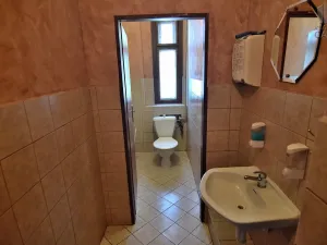 Pronájem restaurace, Čisovice, 181 m2