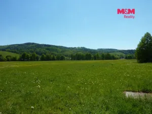 Prodej louky, Vysoká Srbská, 26090 m2