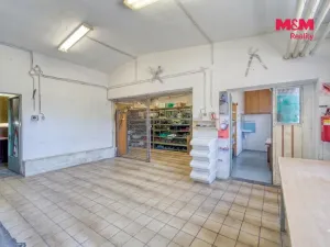 Pronájem výrobních prostor, Nepomuk - Dvorec, 378 m2