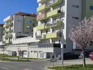 Pronájem bytu 2+kk, Brno, Křepelčí, 50 m2