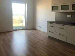 Prodej bytu 2+kk, Plzeň, U Velkého rybníka, 56 m2