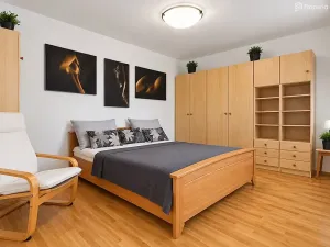 Pronájem bytu 2+1, Brno, Březová, 52 m2