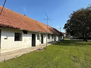 Prodej vícegeneračního domu, Opočnice, 604 m2