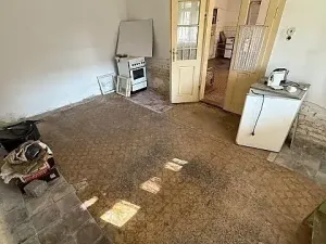 Prodej vícegeneračního domu, Opočnice, 604 m2