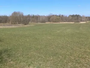 Prodej pole, Stříbřec, 5200 m2