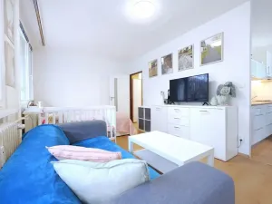 Pronájem bytu 1+1, Čelákovice, Rumunská, 41 m2