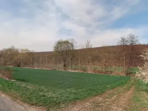 Prodej louky, Jičíněves, 20868 m2