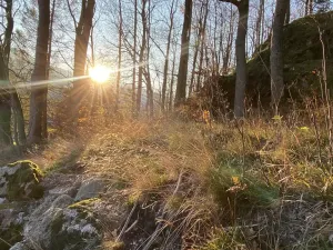 Prodej pozemku, Bílý Potok, 1625 m2