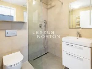 Prodej bytu 1+kk, Praha - Smíchov, Holečkova, 30 m2