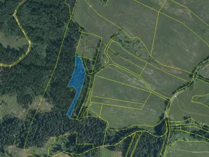 Dražba lesa, Dlouhý Újezd, 7291 m2