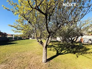 Pronájem rodinného domu, Včelná, Sokolovského, 70 m2