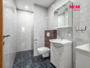 Prodej rodinného domu, Neustupov, 450 m2