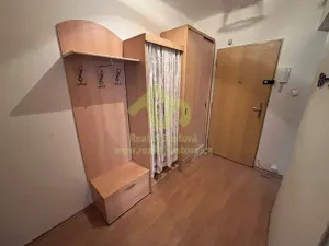 Pronájem bytu 2+kk, Plzeň, Francouzská třída, 36 m2